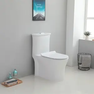 Mejor venta de accesorios de baño económico siphonic de una sola pieza de ahorro de agua de baño de chaozhou fabricante