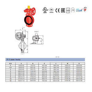 Válvula de Mariposa de Protección Contra Incendios con Clasificación de 300 PSI y Interruptor de Supervisión de 6 Pulgadas (150 mm) |   Válvula de Accionamiento por Engranajes con Certificación UL/FM de WEFLO - Product Image 4