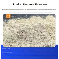 Kaolin calciné en poudre pour céramiques, haute réfractarité, kaolin lavé pour revêtements de papier, marque JINSHI, Shijiazhuang, Hebei