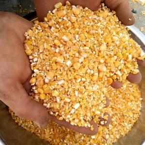Machine à décortiquer les graines de Moringa, le sarrasin, le <span class=keywords><strong>millet</strong></span> et le maïs pour usage agricole ou domestique - Product Image 6