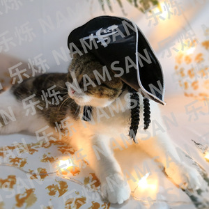 Chapeau de pirate pour animaux de compagnie NAMSAN, pour chiens et chats, costume d'Halloween, chapeau en tissu réglable avec imprimé crâne et épées, accessoire fantaisie - Product Image 3