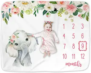 Photo Baby Photography Daisy Guo Compania Milestone Blanket