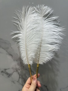 Offre Spéciale rétro <span class=keywords><strong>Vintage</strong></span> sélectionné luxe véritable <span class=keywords><strong>plume</strong></span> d'autruche <span class=keywords><strong>stylo</strong></span> à bille en métal mariage événement signature décoratif <span class=keywords><strong>plume</strong></span> Dip stylos - Product Image 4