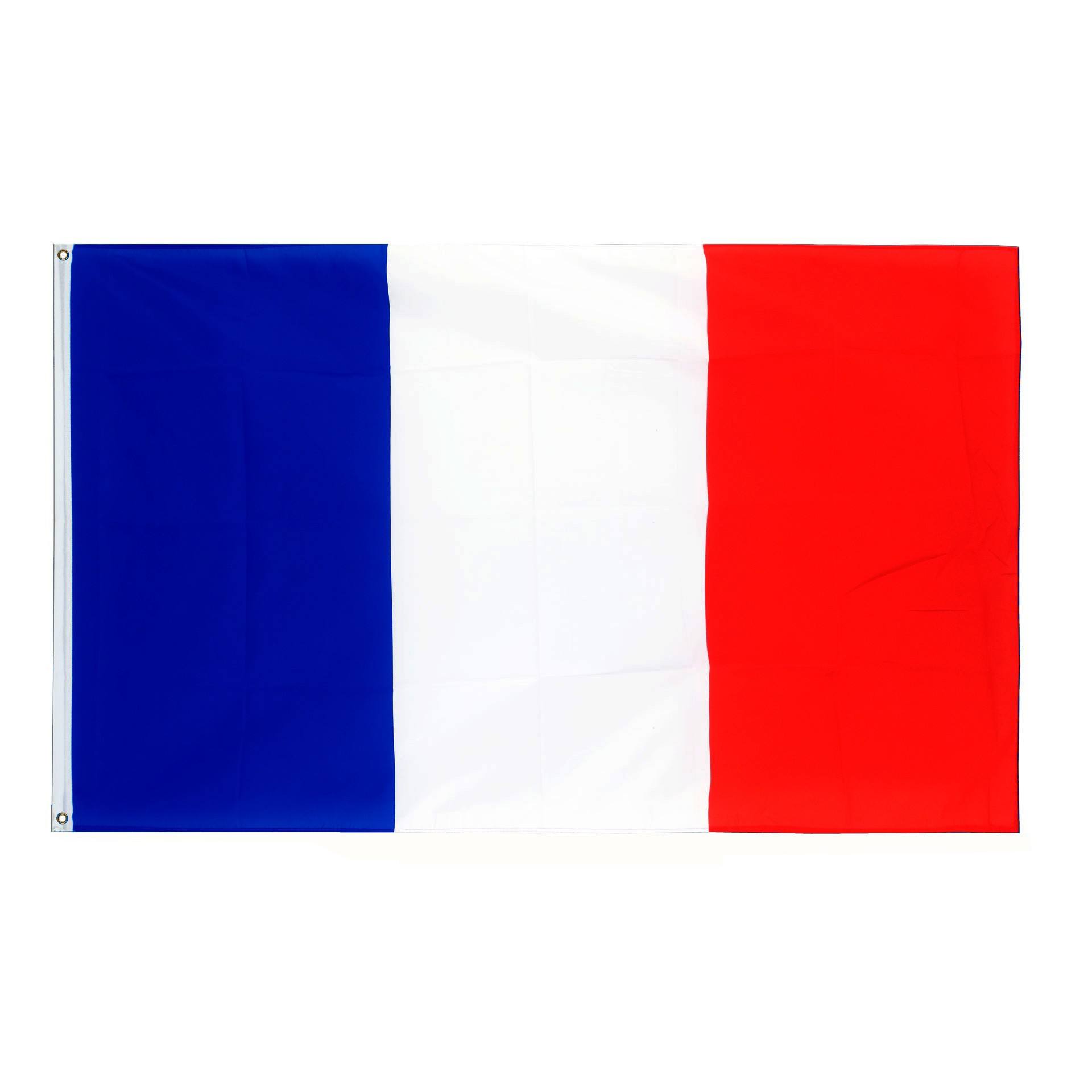 フランス国旗バナー カスタムロゴ印刷 90x150cm ポリエステル製