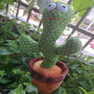 Peluche Cactus Musical Électrique Chantant et Dansant en Coton PP, Poupée Douce Créative pour Enfants D007, <span class=keywords><strong>Sac</strong></span> OPP - Product Image 6