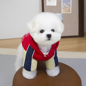 थोक शरद ऋतु की सर्दियों के हुड पेटकॉटन पंड कोट स्माल्डडॉग के लिए लेशरिंग के साथ दो लेशरिंग वाले कॉटकोट - Product Image 3