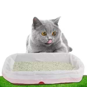 Водонепроницаемый Биоразлагаемые Пользовательские наполнитель для кошачьего туалета ящик на подкладке с мусорный мешок на шнурке кошки отходов коробка вкладыши для мусора мешок корма сумки - Product Image 2