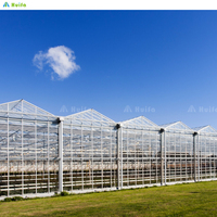 Système hydroponique de serre agricole intelligente multi-chapelle SINO AGRI avec film PE monocouche, kit complet personnalisable de 1000 m²