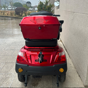 Scooter de vélo électrique à quatre roues pour adulte 1000W moteur 60V20AH batterie au plomb certifié CEE Europe disponible - Product Image 4