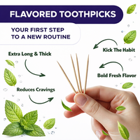 Tandenstokers met smaak Tandenstokers met smaak Houten tandenstokerset Fruit Mint Smaak Tandenstoker Hout Koffie Stoppen met roken