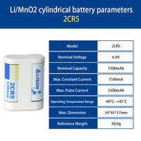 2CR5 6V Lithium Battery for Access Control Electric Door Lock & Security System