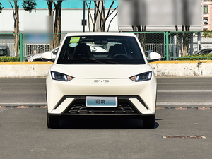 2025 vehículos de nueva energía coche eléctrico puro Byd Seagull 5 puertas 4 plazas Hatchback EV Auto - Product Image 6