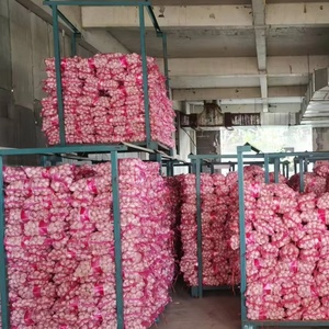 Ajo Blanco Fresco de China, de Dientes Pequeños, Precio al por Mayor, Venta Directa de Fábrica de Shandong, Calidad Superior, Cosecha Reciente, Alho Ajo - Product Image 3