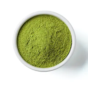 FC53 toptan fabrika fiyat pazarlık cha vert GT912 doğal taze kokulu sağlıklı organik torba başına 100g toz yeşil çay çay