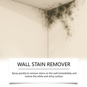Jaysuing 120ml Détachant mural pour taches tenaces, spray <span class=keywords><strong>anti</strong></span>-moisissure pour murs moisissus - Product Image 3