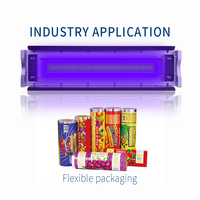 Vente d'usine Lampe ultraviolette LED Système de lumière UV pour machine d'impression flexographique