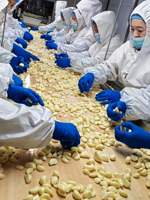 Nouvelle récolte 2026 – Ail frais pelé sous vide, prix usine de gros, Jinxiang Shandong, prêt à l'emploi, exportation