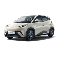 Nouvelle Offre Exceptionnelle : Voiture Électrique BYD Seagull Flying, Édition Vitality, 5 Portes, 4 Places, Autonomie 305-405 km, Nouvelle Énergie