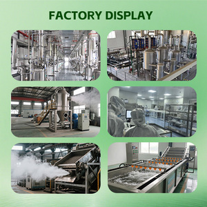 Bán buôn trực tiếp bột trái cây vải hữu cơ và bột nước ép vải đông khô từ nhà sản xuất. - Product Image 4