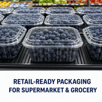 Conteneur à fruits personnalisable, recyclable, transparent en PET, avec charnière, de qualité supérieure, 250 ml, 500 ml, pour supermarché