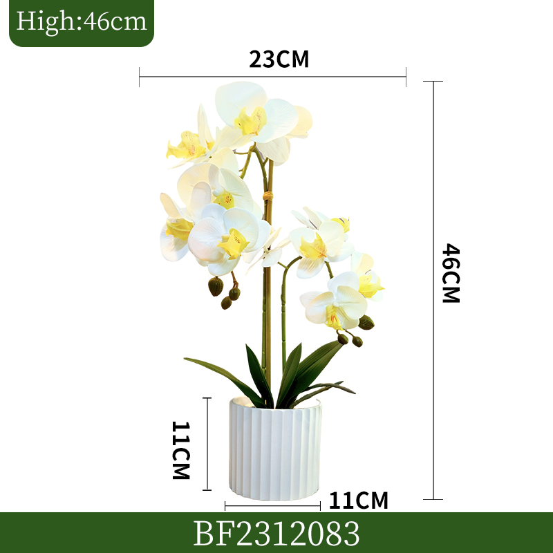 BF2312083