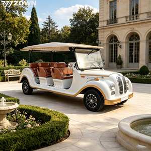Véhicule de loisirs rétro classique avec pneus en caoutchouc durables pour les excursions en plein air, voiture électrique vintage - Product Image 1