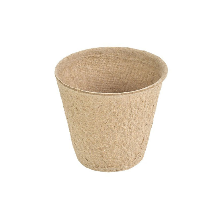 D6 x H5,5 cm (rond sans trou)