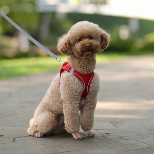 Set Guinzaglio e Pettorina Regolabile per Cuccioli e Gatti Bulldog Francese Chihuahua Carlino Passeggiata all'Aperto per <span class=keywords><strong>Cani</strong></span> di Piccola Taglia - Product Image 6