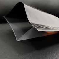 Sac sous vide en nylon YC pour saucisses et jambon, noir, transparent d'un côté, avec pompe de compression et fermeture hermétique pour la conservation des aliments