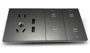 Prise murale nue et bouton de commutation, pour <span class=keywords><strong>chambre</strong></span> <span class=keywords><strong>d</strong></span>'<span class=keywords><strong>hôtel</strong></span> intelligente, nouveau Design - Product Image 6