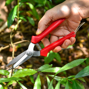 กรรไกรตัดแต่งกิ่งสวน สแตนเลสสตีล ด้ามจับกันลื่น นุ่มมือ สำหรับสวนผลไม้ เก็บองุ่น ดูแลบอนไซ - Product Image 1