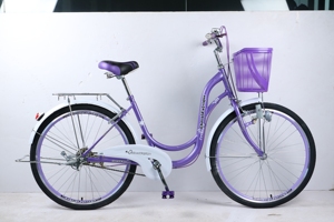 Bicicleta Urbana para Mujer, Modelo Good Path Street, Mini Bicicleta con Cuadro de Acero Seguro y Canasta, 24 Pulgadas - Product Image 6