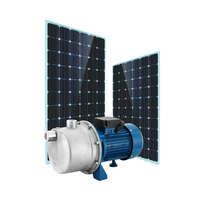 Pompe solaire de surface en acier inoxydable haute efficacité 33-1000L/H, étanche IP67, contrôle manuel/automatique, certifiée CE