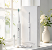 Brosse à dents électrique portable à vibration sonique, rechargeable par USB, pour adultes, nettoyage buccal, 6 modes, étanche IPX7, pour les voyages