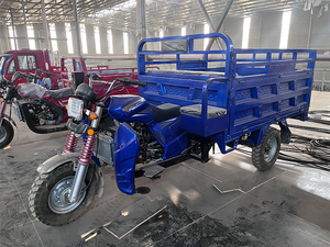 Tricycle à moteur commercial de 250 cm3 avec une <span class=keywords><strong>grande</strong></span> caisse de chargement - Product Image 6
