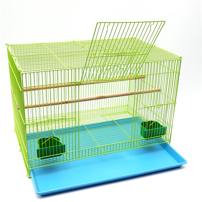 bog cage for lovebirds