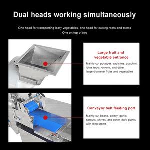 Cortadora Eléctrica Industrial <span class=keywords><strong>de</strong></span> Zanahorias <span class=keywords><strong>de</strong></span> Acero Inoxidable, <span class=keywords><strong>Picadora</strong></span> <span class=keywords><strong>de</strong></span> Repollo, Cortadora <span class=keywords><strong>de</strong></span> Frutas y Verduras, Máquina para Cortar Vegetales - Product Image 5