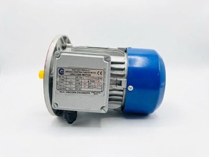 Moteur électrique triphasé 1 CV, 2880 tr/min, 2 pôles, montage sur pied, corps en aluminium, haute vitesse, pour pompes et machines industrielles - Product Image 3