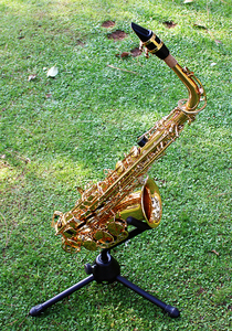 <span class=keywords><strong>Saxophone</strong></span> alto professionnel SLADE OEM personnalisé avec logo, instrument à vent en laiton laqué, idéal pour les groupes de jazz, économique et abordable. - Product Image 2