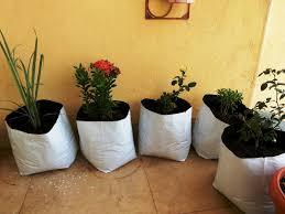 Bolsa de Cultivo para Sustrato de Coco en Invernadero, Sistema de Cultivo sin Suelo para Fresas Hidropónicas - Product Image 3