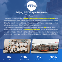 Servicio Profesional de Logística Internacional DDP DDU, Agente de Transporte de Carga Aérea de China al Reino Unido
