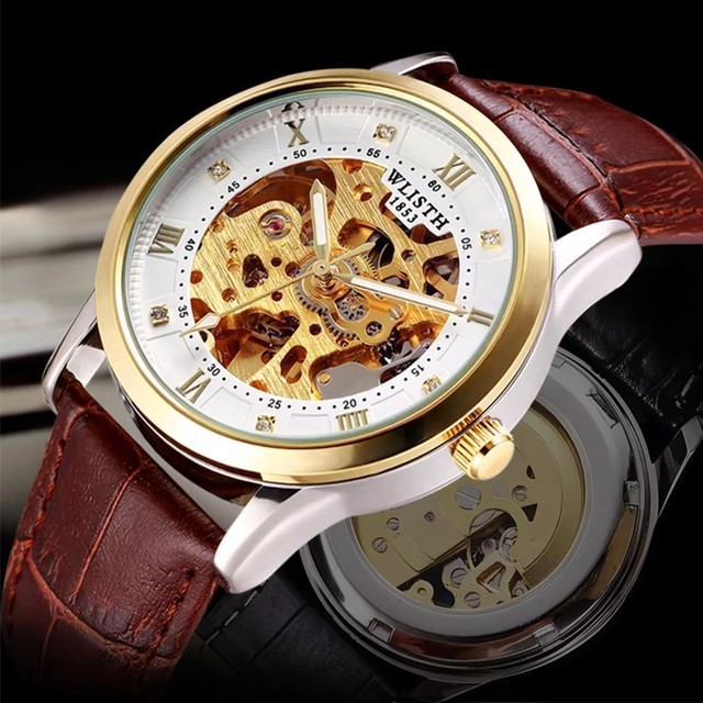 Wlisth 1003 Waterproof Stainless Steel Belt Hollow Out Skeleton Men's Leather Luxury Automatic Mechanical Watches Luminous Watch