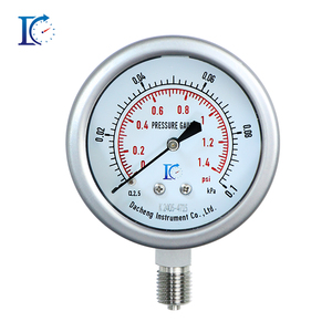 Manômetro de Cápsula de Micro-Pressão de Alta Sensibilidade 60mm em Aço Inoxidável -250kpa~250kpa Categoria do Produto Manômetros - Product Image 1