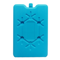 Brique de glace longue durée 200ml L pour congélateur à blocs de glace réutilisable pour le déjeuner, glacière fraîche pour une utilisation en extérieur