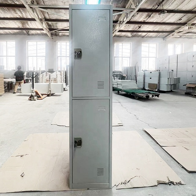 Modern 2-Tier Steel Locker Cabinet Lockable Two-Door File Storage Adjustable Glass Doors for Home Office Gym School Hospital Use