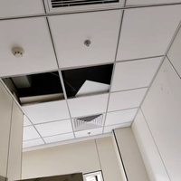 Plafonds suspendus acoustiques au design moderne pour bureau, salle de bain, salon, hôtel - Grille de plafond insonorisée