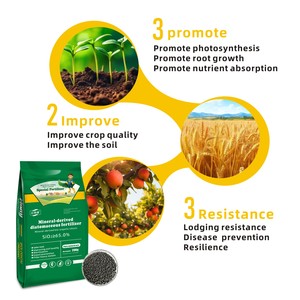 Fertilizzante a Base di Amminoacidi Vegetali, Stimolatore di <span class=keywords><strong>Flora</strong></span> e Microra, Fertilizzante per Fioritura a Rilascio Lento, Novità 2026 - Product Image 2