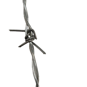 Kualitas tinggi harga yang kompetitif penjualan terbaik produsen kawat besi galvanis untuk konstruksi dan perlindungan jenis melingkar - Product Image 3