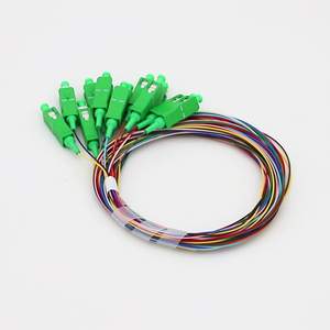 Singlemode 12 core PVC FTTH fibra ottica FTTX Indoor 1 anno 1m / 2m / 3m 1 pz/borsa <span class=keywords><strong>Brunch</strong></span> SC/APC Pigtail - Product Image 1