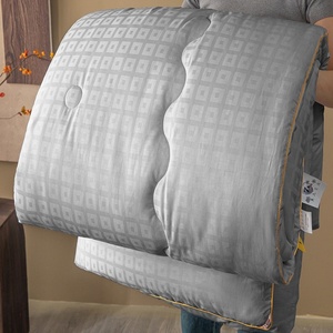Piumino Jacquard all'ingrosso per hotel, inserto singolo/doppio per primavera/autunno/inverno, dormitorio scolastico, regalo estivo rinfrescante in poliestere - Product Image 3